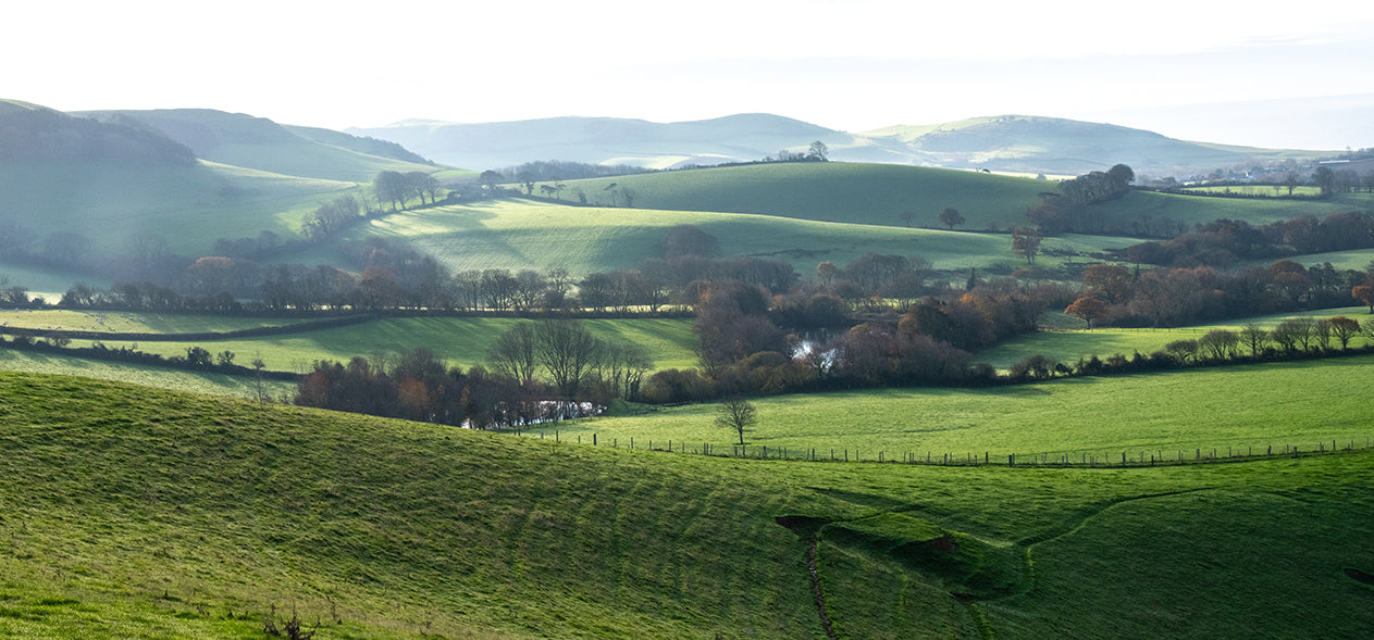 Chideock, Dorset